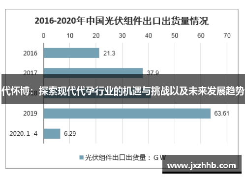 代怀博：探索现代代孕行业的机遇与挑战以及未来发展趋势